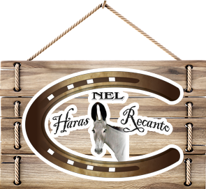 Haras Recanto